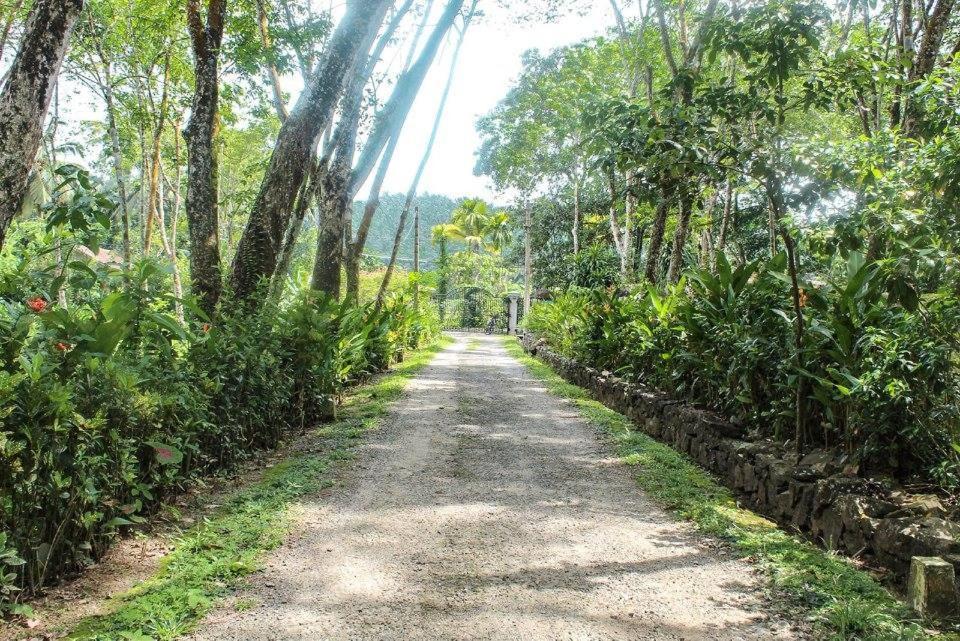 Plantation Villa كالوتارا المظهر الخارجي الصورة